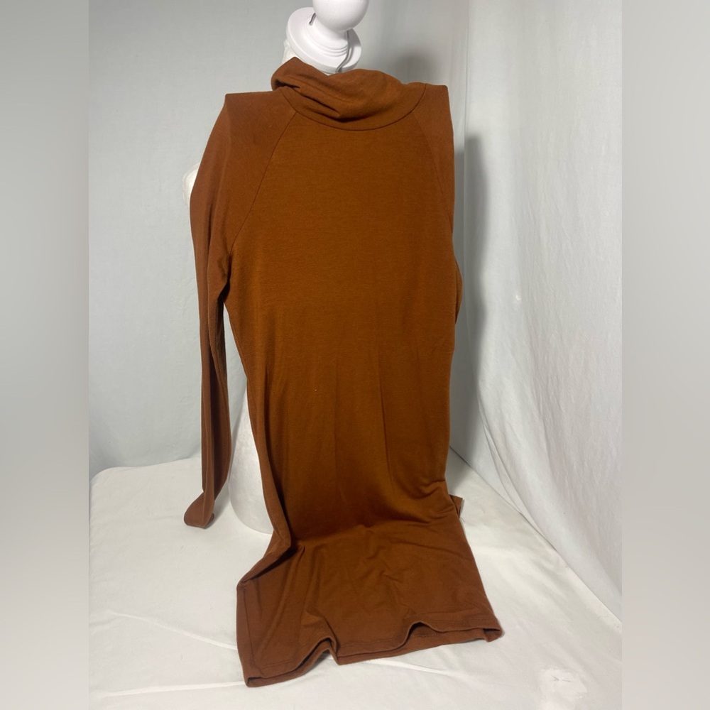 Forever 21 Long Sleeve Turtle Neck Dresss